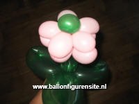 ballonplooien bloem